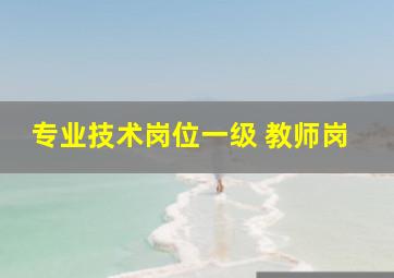 专业技术岗位一级 教师岗